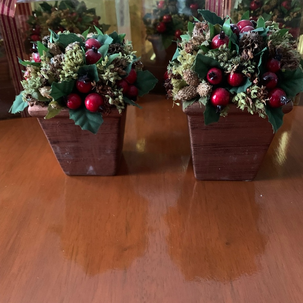 Small Potted Topiaries - Picture 3 of 6